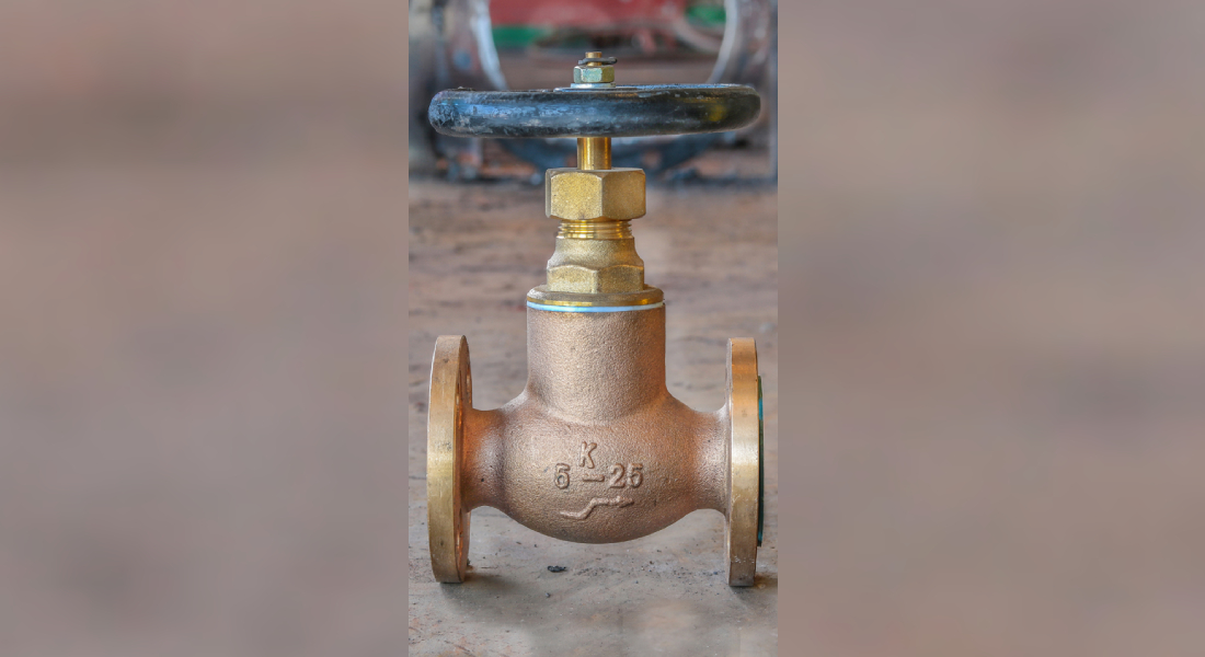 Industrial Bronze Globe Valve